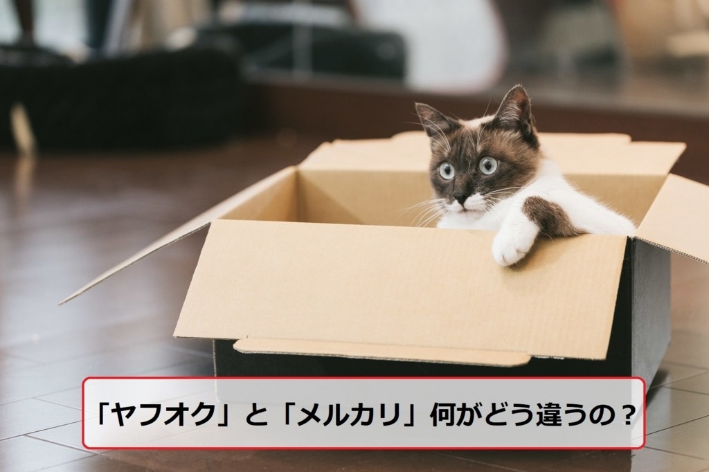 最大89%オフ! 81kiti様専用 他2枚 mandhucollege.edu.mv